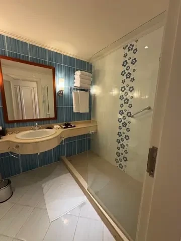 Фото отеля BARON PALACE RESORT SAHL HASHEESH